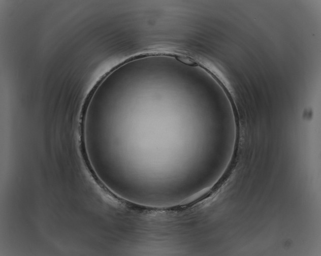 X0000091561093200708241811