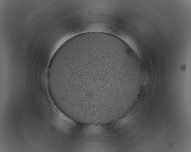 X0000091561094200708241811