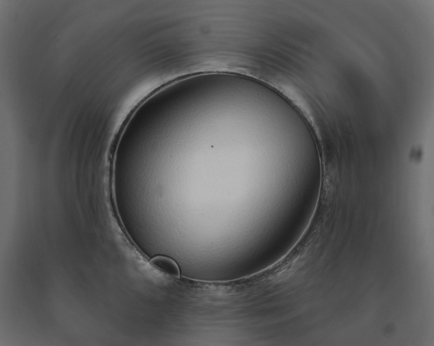 X0000091561096200708241811