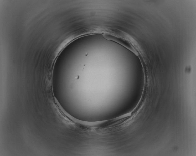 X0000091561097200708241811