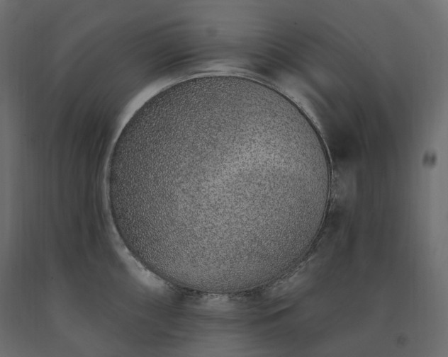 X0000091561098200708241811