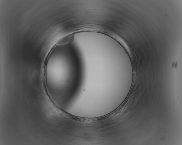 X0000091561099200708241811