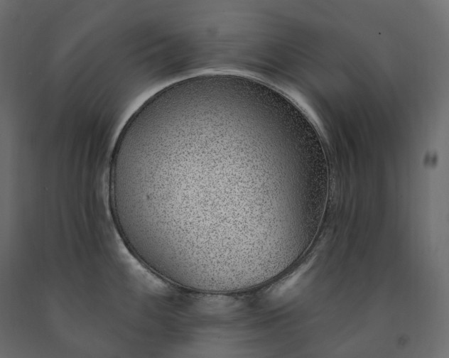 X0000091561100200708241810