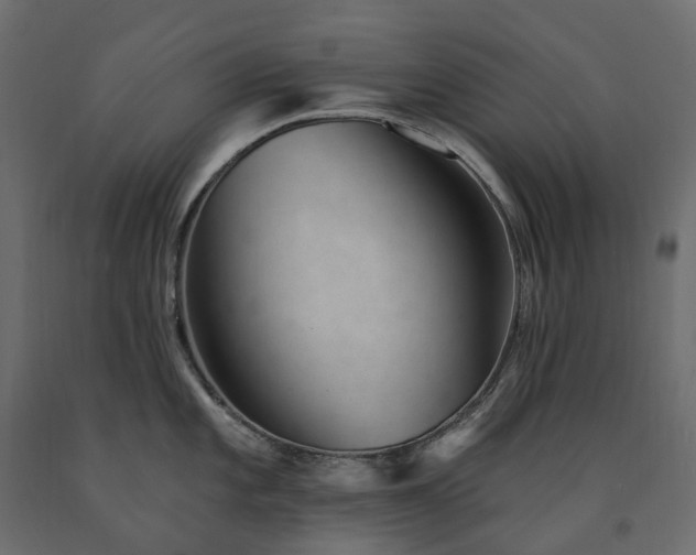 X0000091561101200708241810