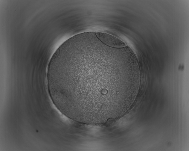 X0000091561103200708241810