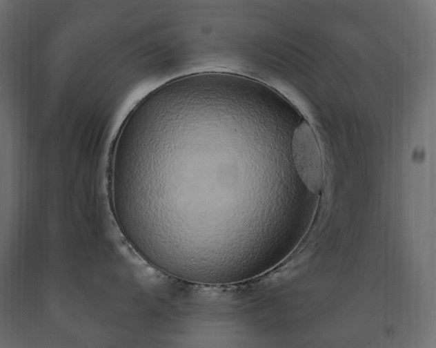 X0000091561104200708241810