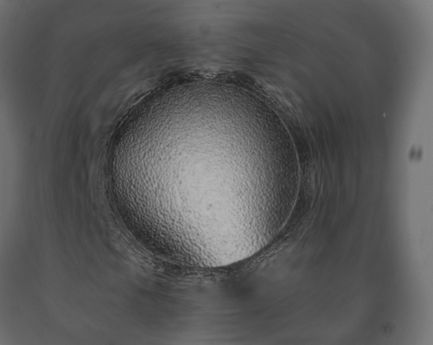 X0000091561105200708241810