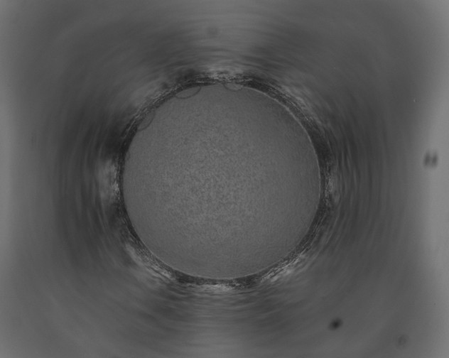 X0000091561106200708241810