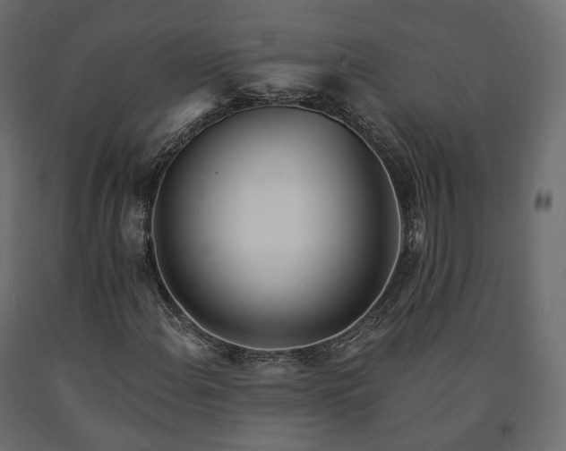 X0000091561108200708241810