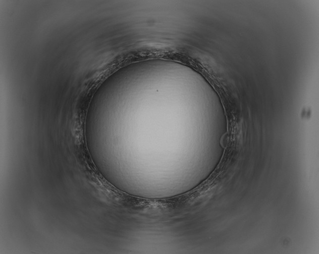 X0000091561109200708241810