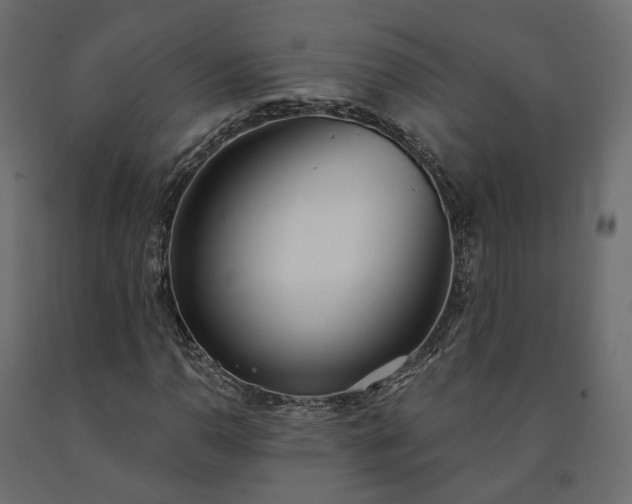 X0000091561110200708241810