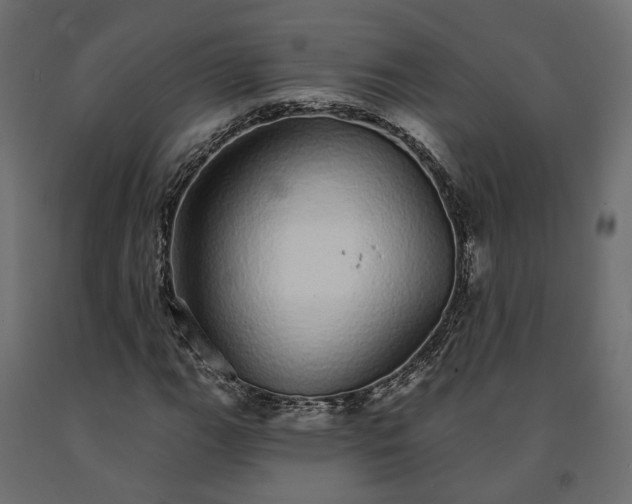 X0000091561111200708241810