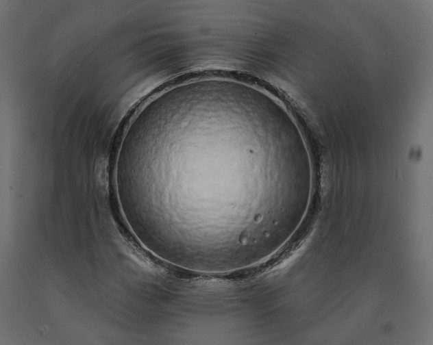 X0000091561113200708241810