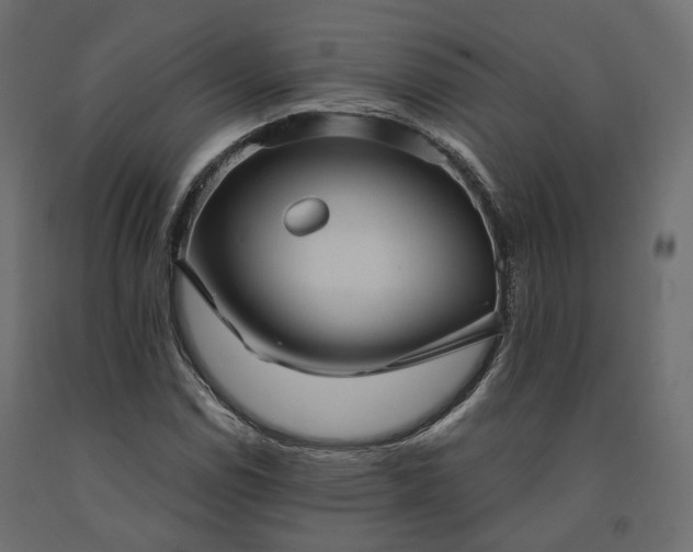 X0000091561114200708241810