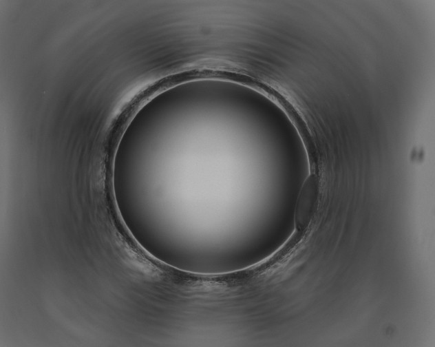 X0000091561115200708241810