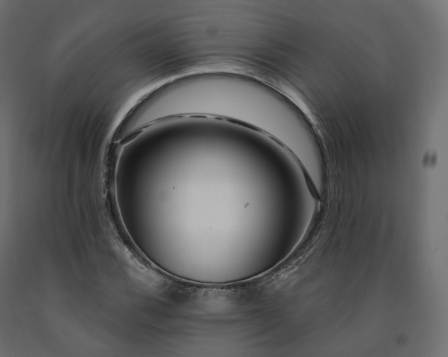 X0000091561116200708241810