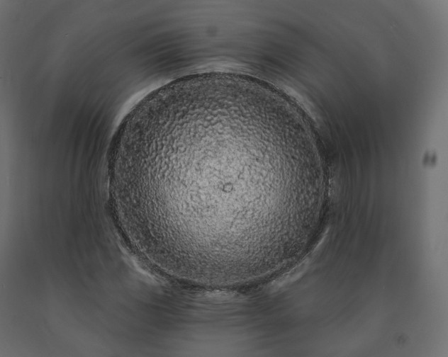 X0000091561117200708241810