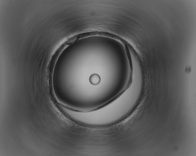 X0000091561118200708241810