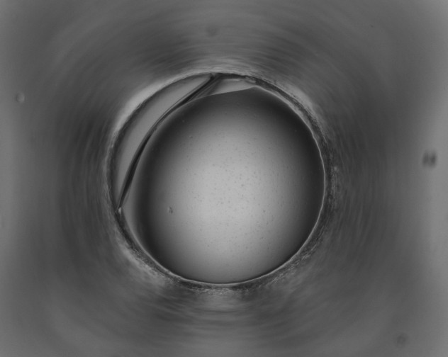 X0000091561120200708241810