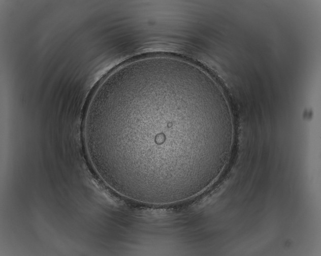 X0000091561121200708241810