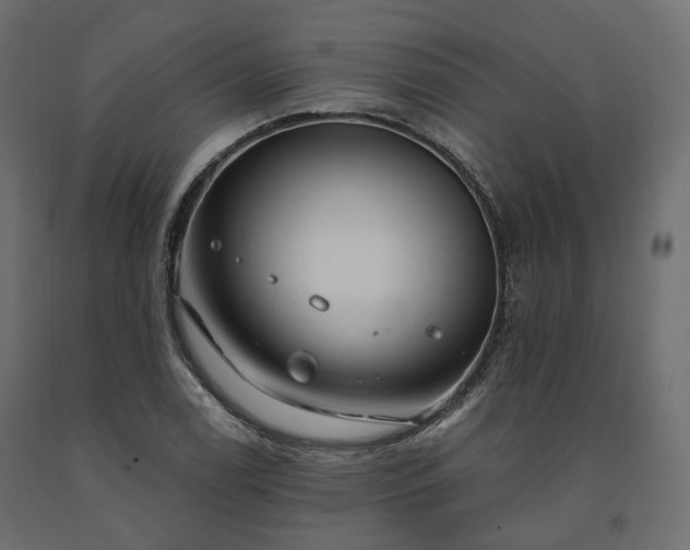 X0000091561122200708241810