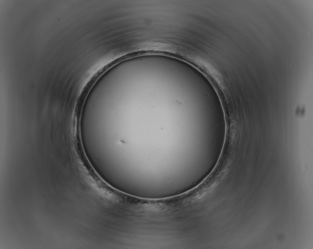 X0000091561125200708241810