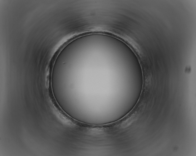 X0000091561126200708241810