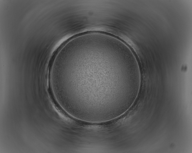 X0000091561127200708241810