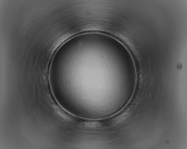 X0000091561129200708241810