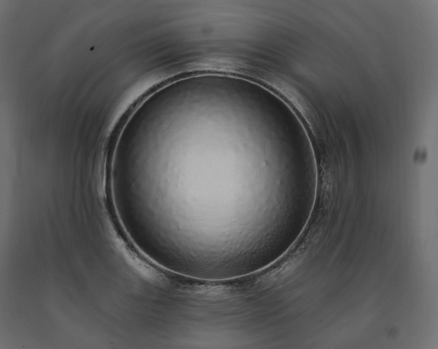 X0000091561131200708241810