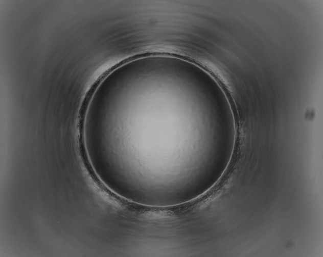 X0000091561133200708241810