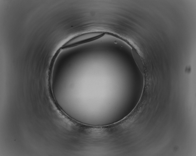 X0000091561134200708241810