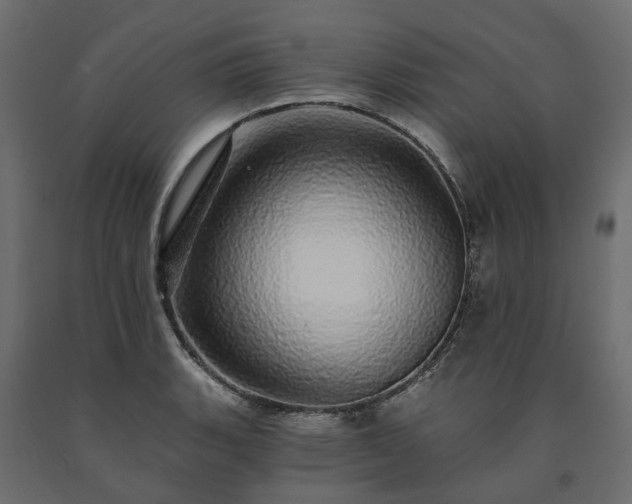 X0000091561135200708241810