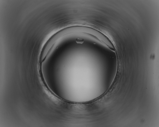 X0000091561136200708241810