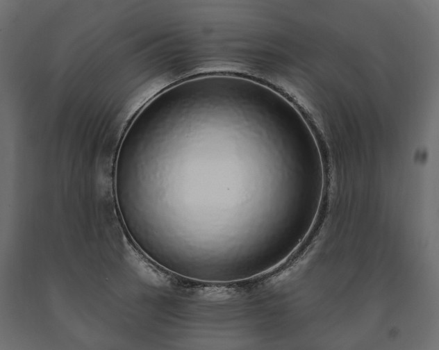 X0000091561137200708241810