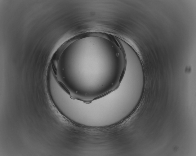 X0000091561138200708241810