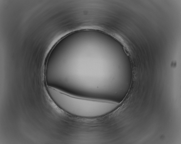 X0000091561140200708241810