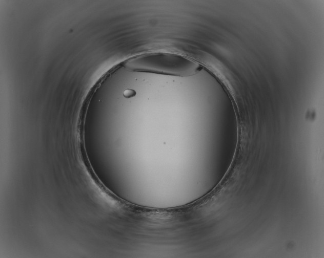 X0000091561141200708241810