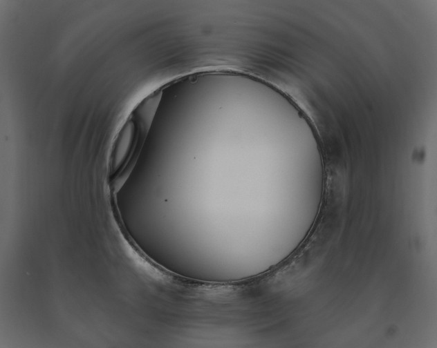 X0000091561143200708241810