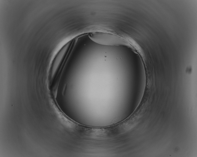 X0000091561144200708241810