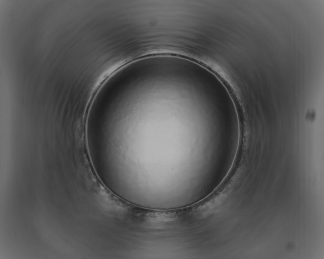 X0000091561145200708241810