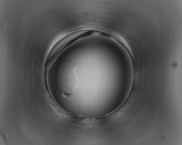 X0000091561146200708241810