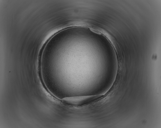 X0000091561147200708241810