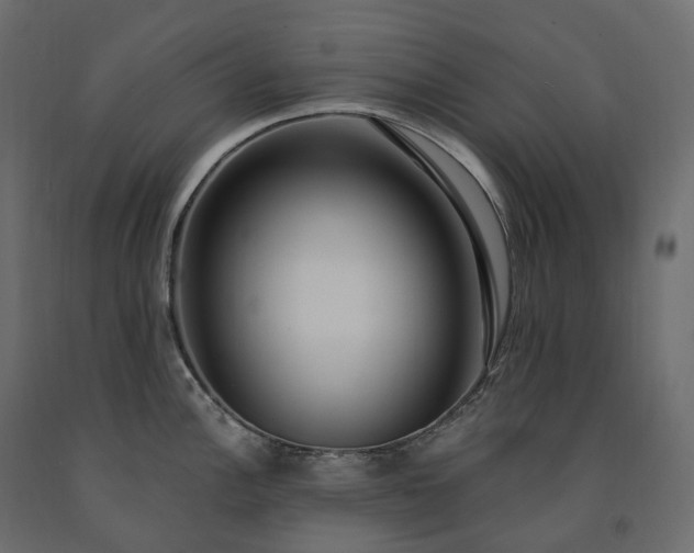 X0000091561148200708241810