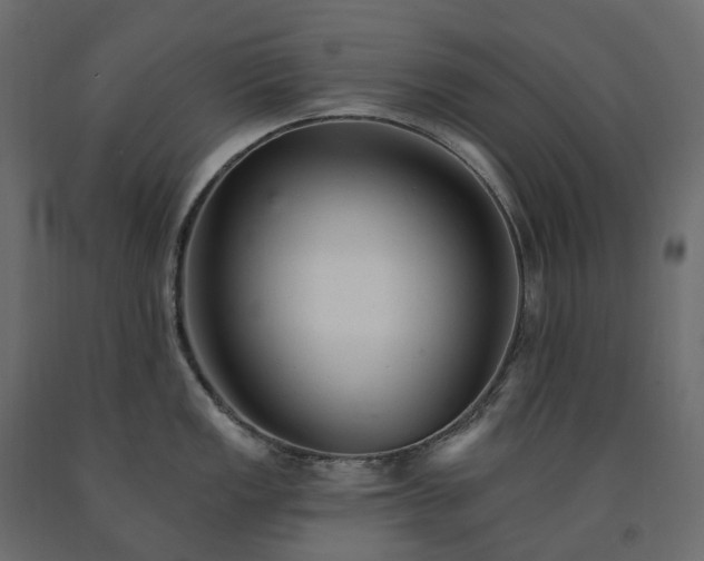 X0000091561149200708241810