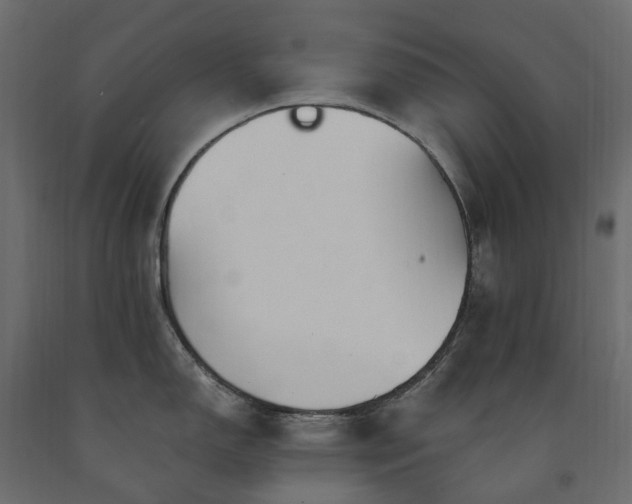 X0000091561150200708241810