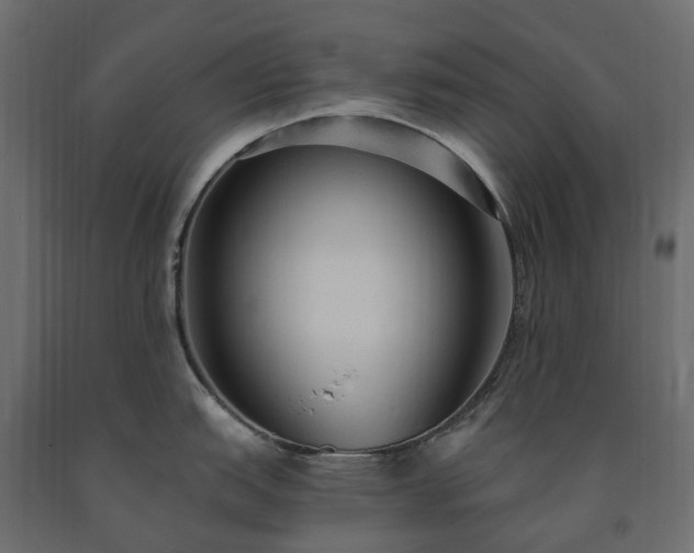 X0000091561151200708241810