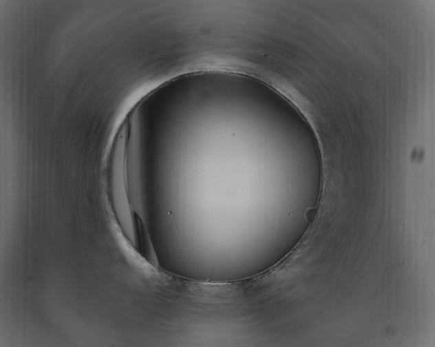 X0000091561152200708241810