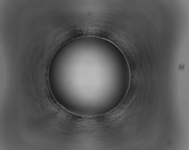 X0000091561153200708241810