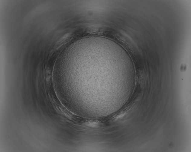 X0000091561154200708241810